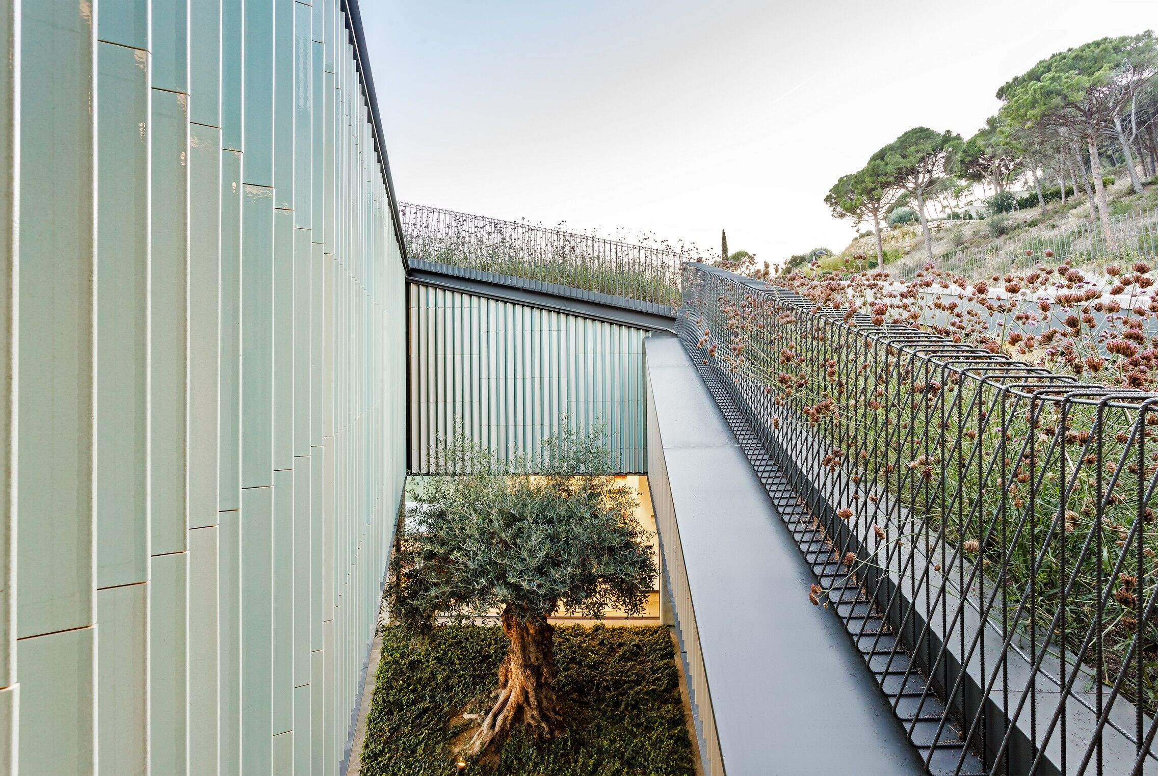https://archello.com/story/112831/attachments/photos-videos/43 photo_credit Marcela Grassi