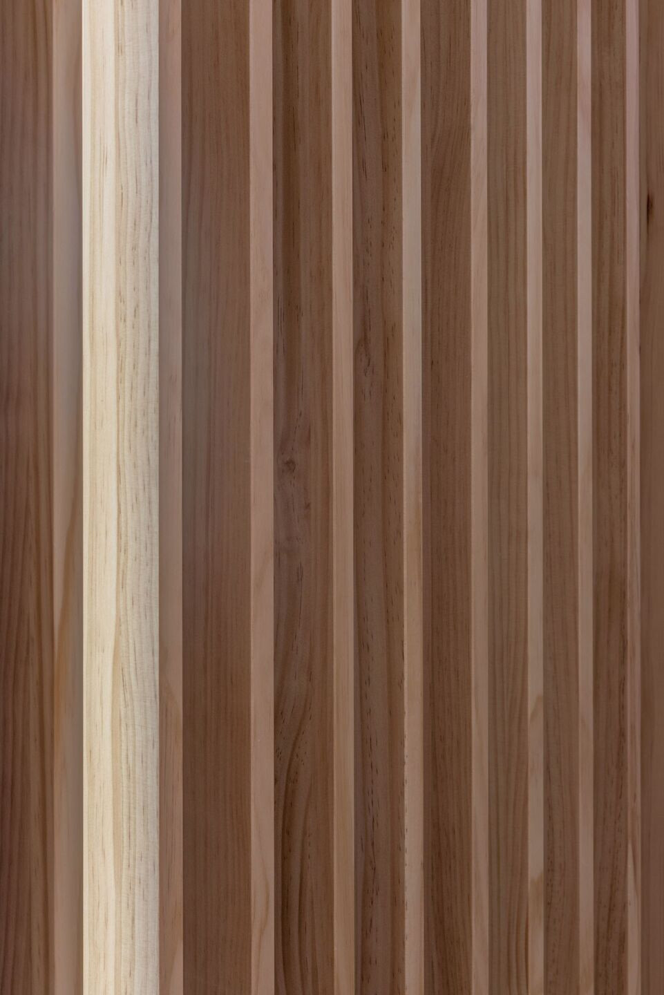 https://archello.com/story/113069/attachments/photos-videos/4 photo_credit Sievers&Carreguí