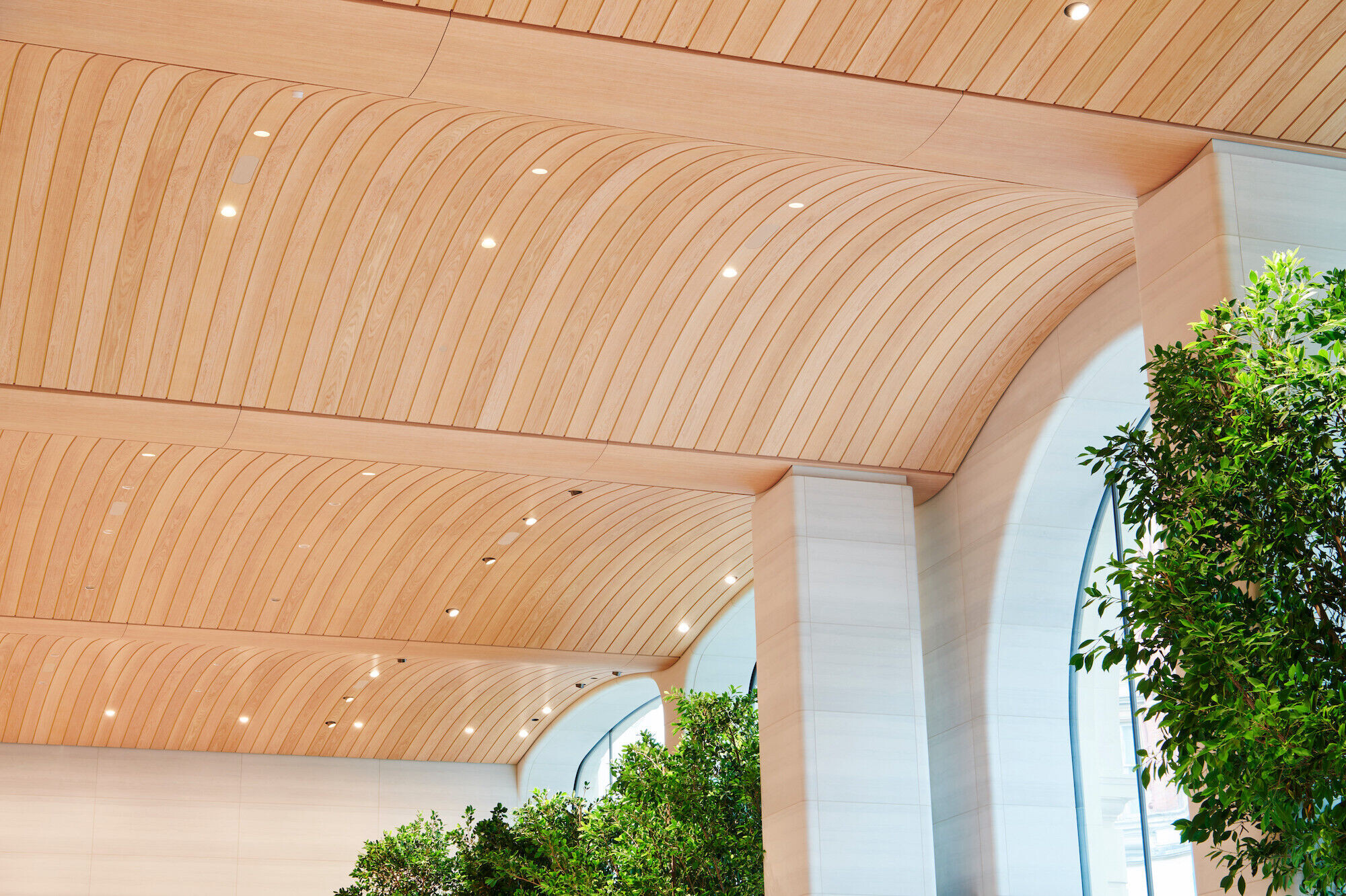 https://archello.com/story/113207/attachments/photos-videos/8 photo_credit Apple