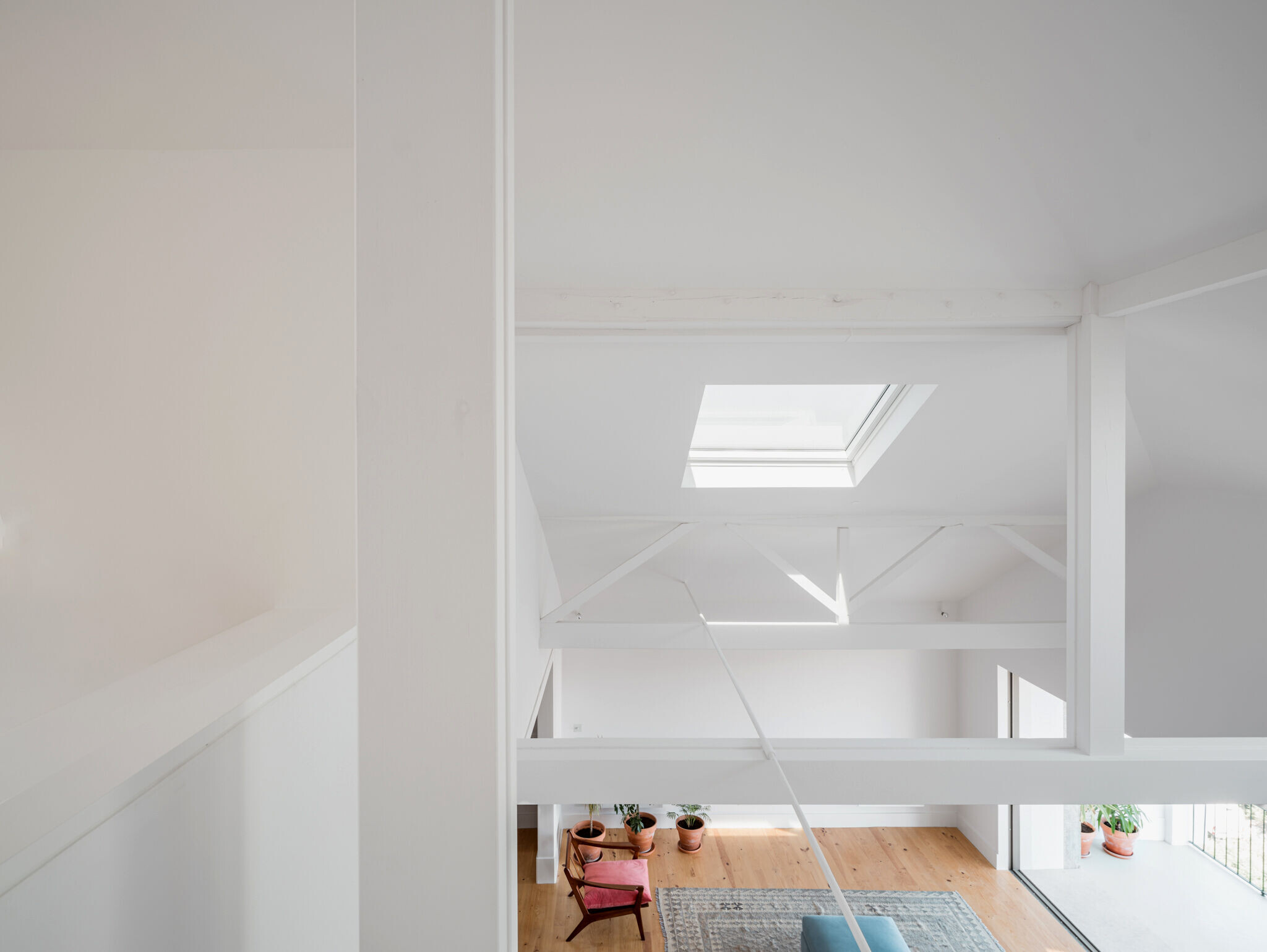 https://archello.com/story/113613/attachments/photos-videos/30 photo_credit Ricardo Gonçalves