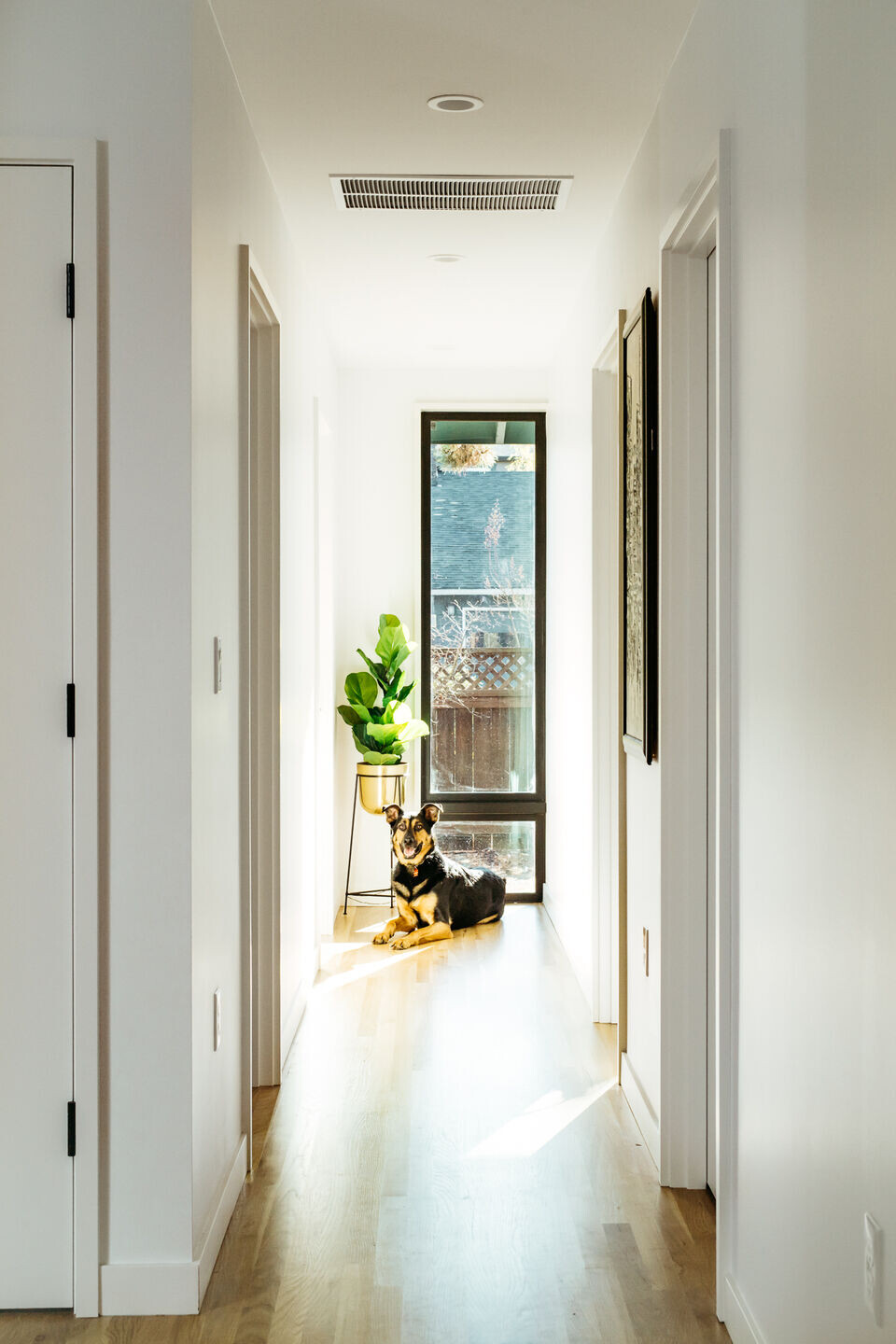 https://archello.com/story/114053/attachments/photos-videos/10 photo_credit Colin Cabalka