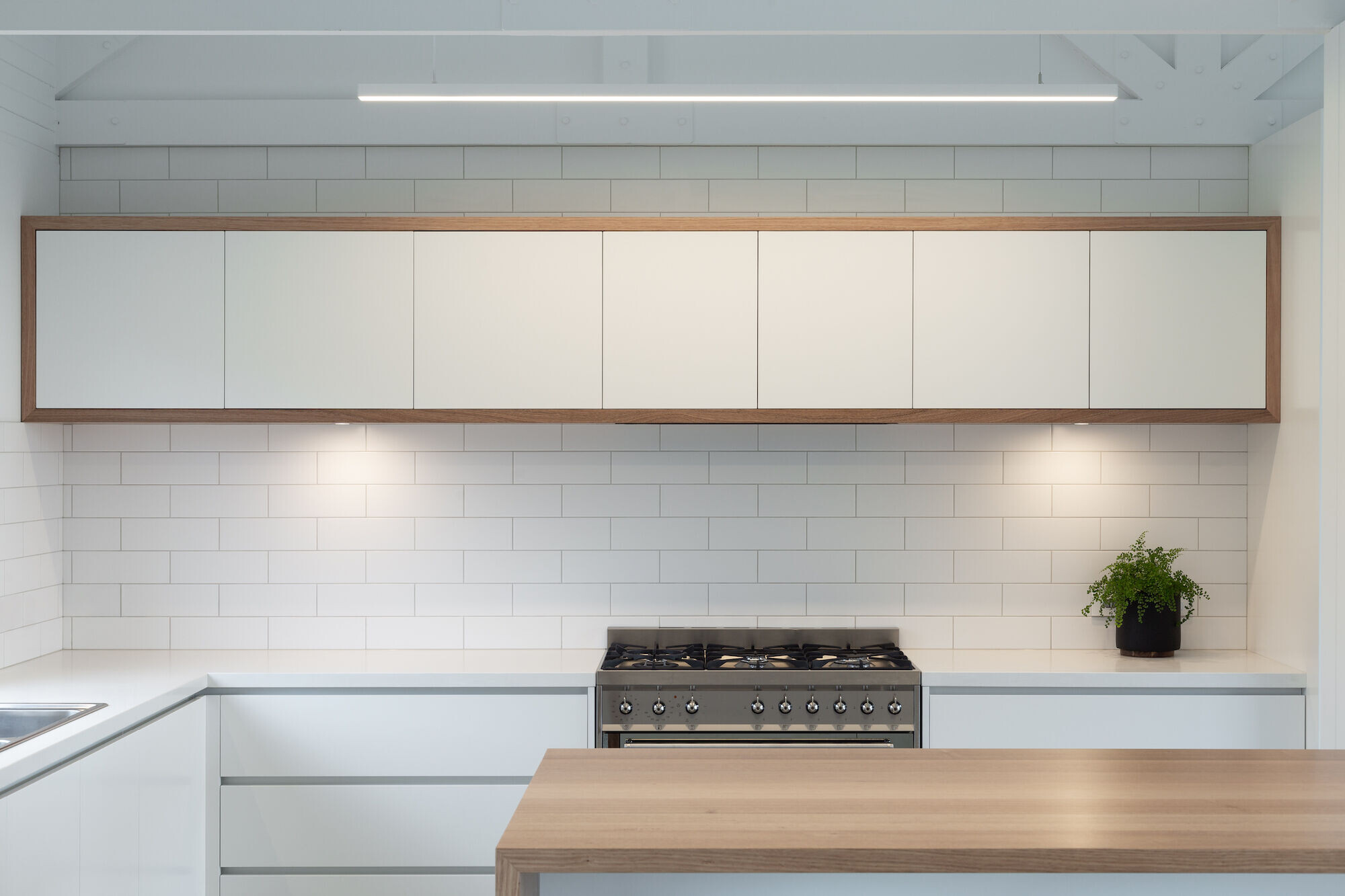 https://archello.com/story/114153/attachments/photos-videos/22 photo_credit Thomas Ryan