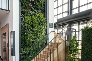 Living Green Wall with Respira Living Wall Technology for improved air quality Living Green Wall with Respira Living Wall Technology for improved air quality