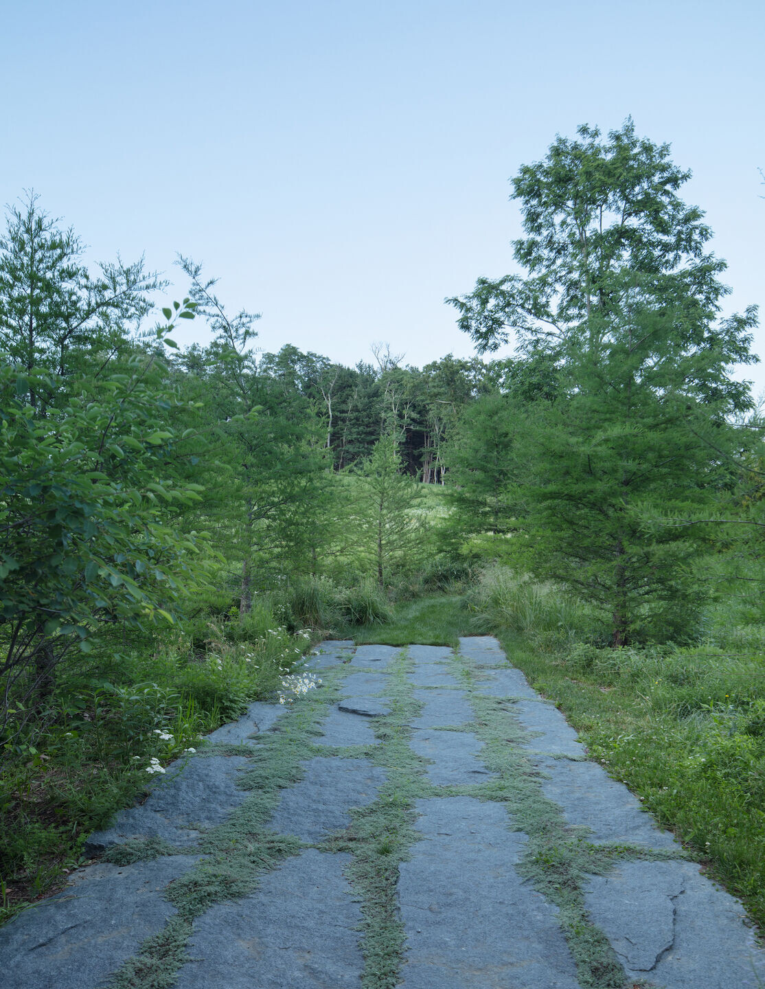 https://archello.com/story/114963/attachments/photos-videos/3 photo_credit Scott Frances