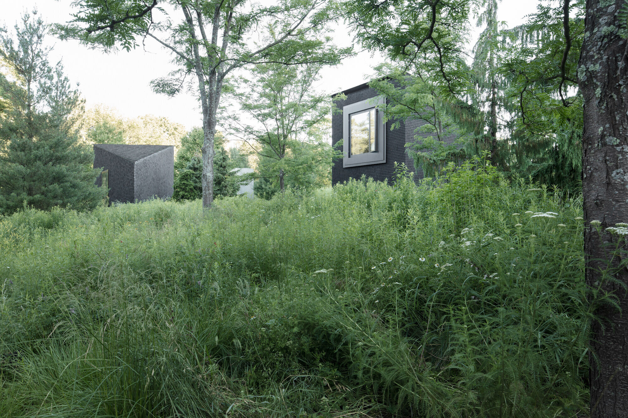 https://archello.com/story/114963/attachments/photos-videos/13 photo_credit Scott Frances