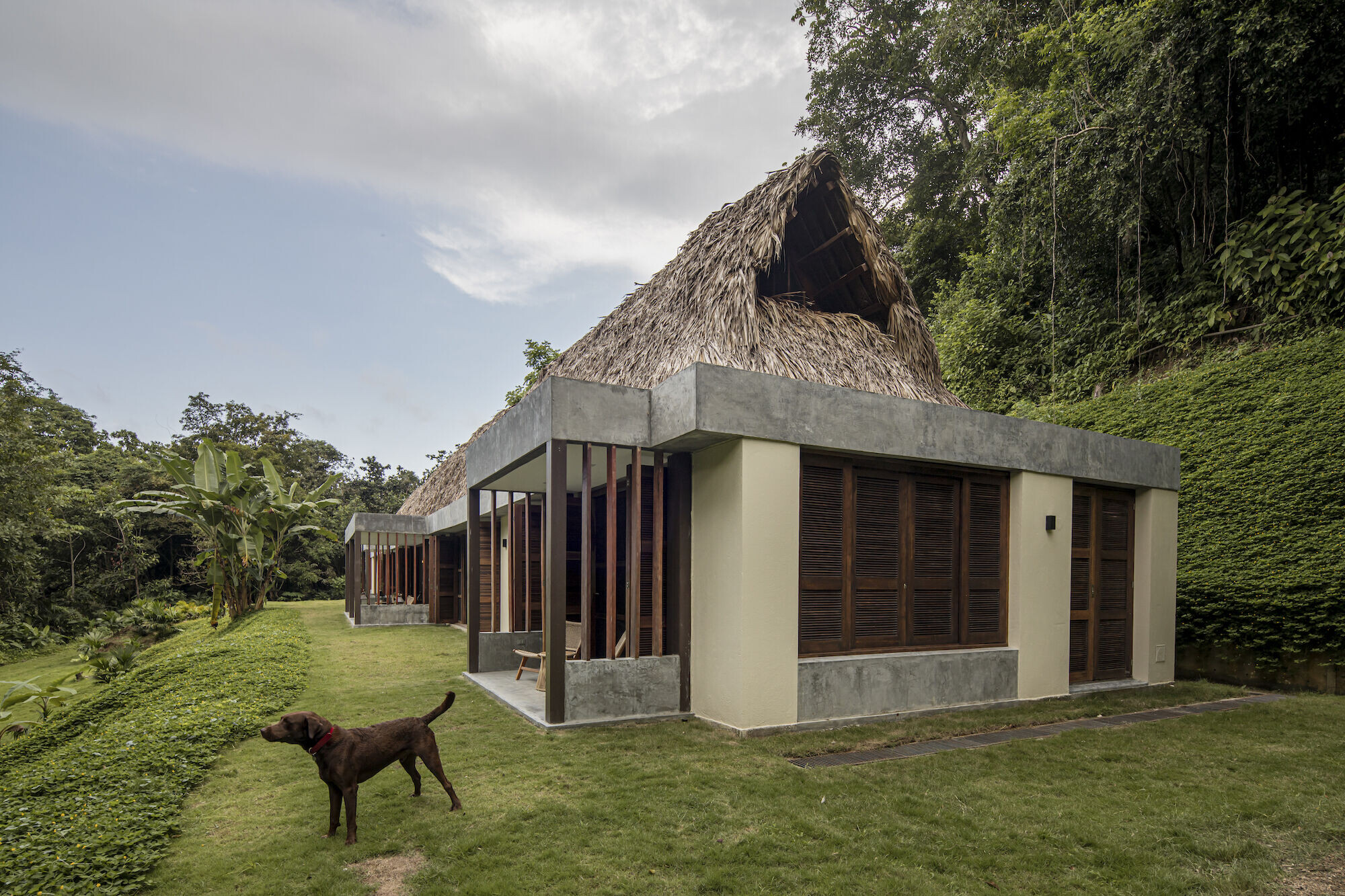 https://archello.com/story/115002/attachments/photos-videos/3 photo_credit Alejandro Arango