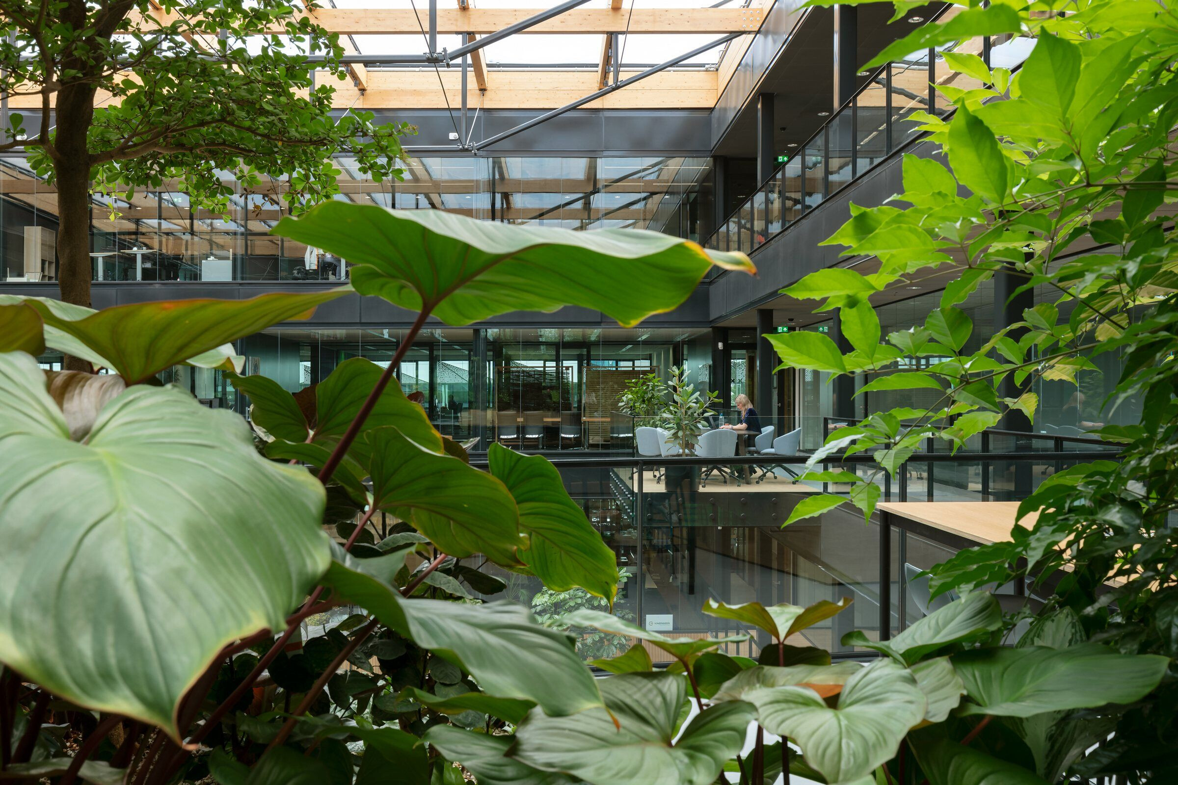 https://archello.com/story/115076/attachments/photos-videos/4 photo_credit Marcel van der Burg