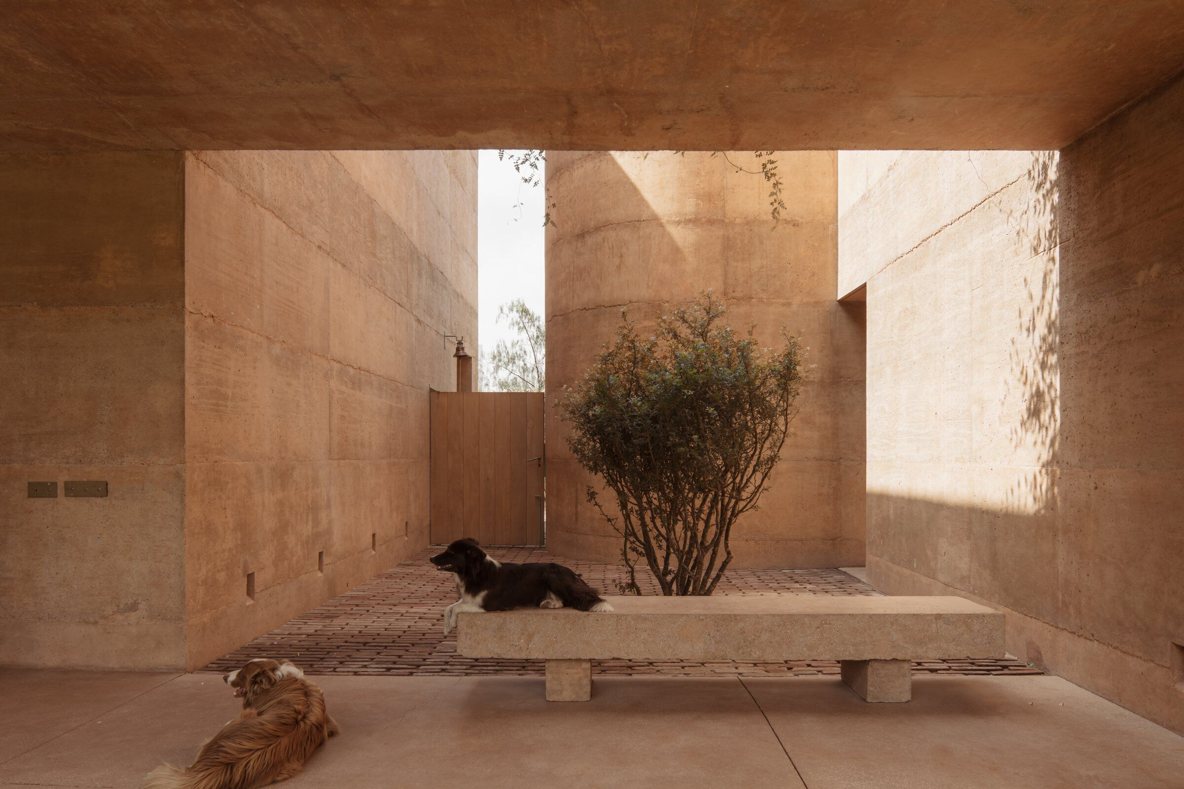https://archello.com/story/115166/attachments/photos-videos/8 photo_credit Ariadna Polo