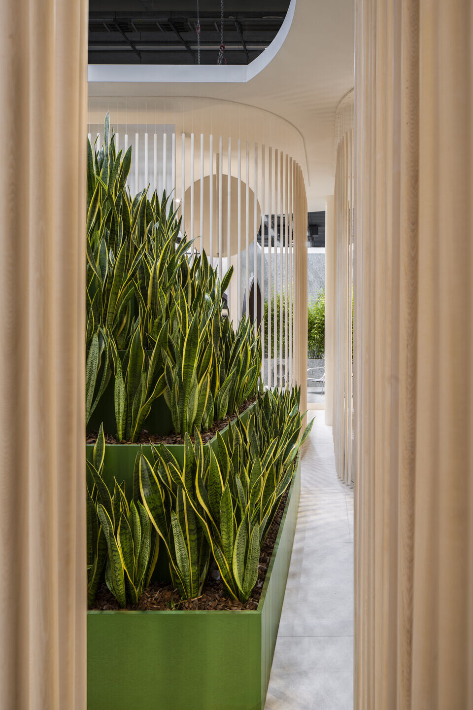 https://archello.com/story/115386/attachments/photos-videos/13 photo_credit Luca Rotondo