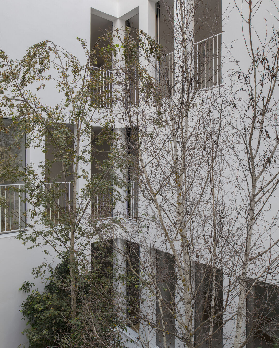 https://archello.com/story/115487/attachments/photos-videos/11 photo_credit Mikael Olsson