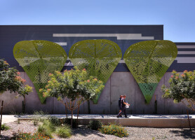 Our Nature Public Art Installation