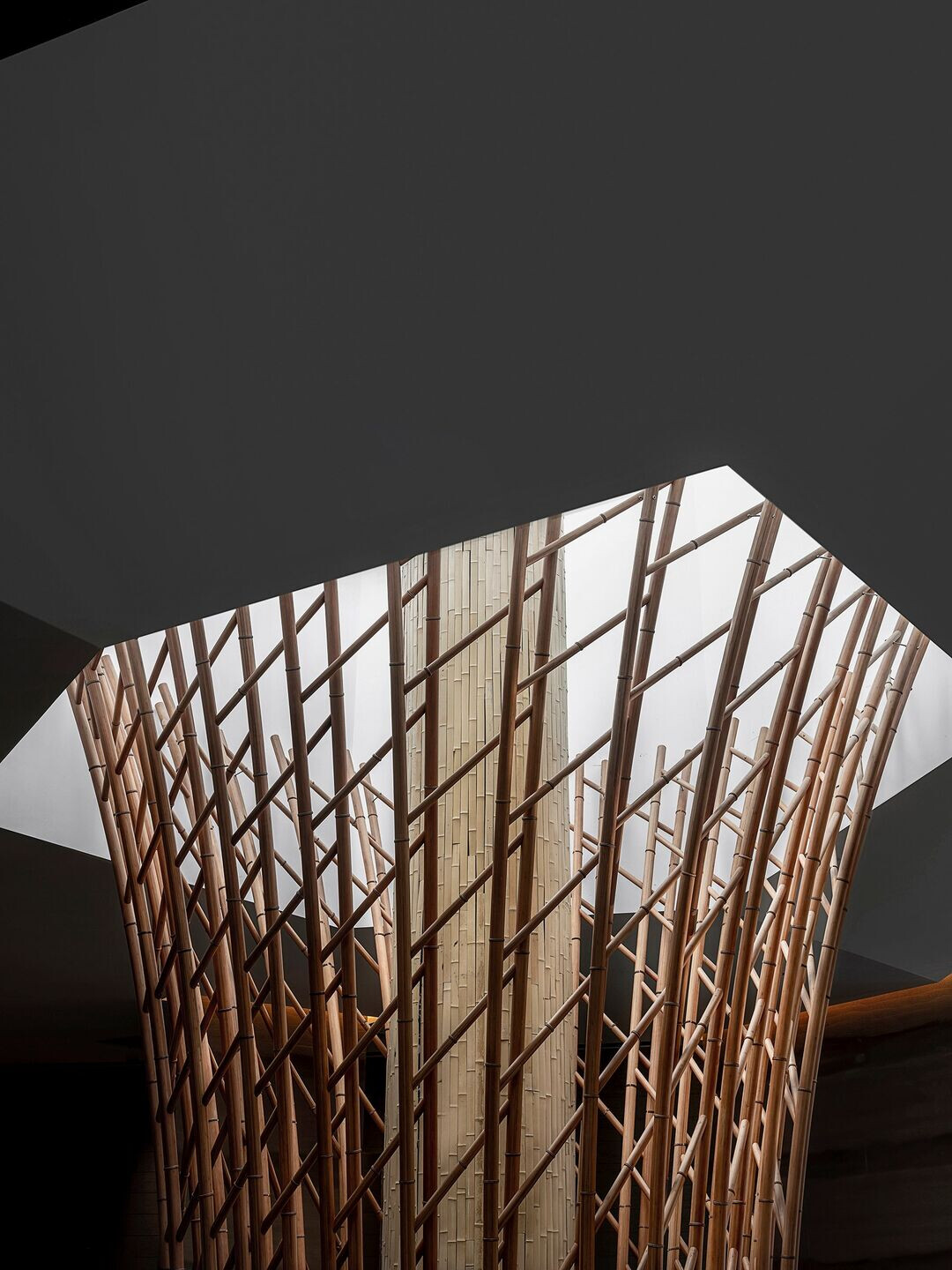 https://archello.com/story/116199/attachments/photos-videos/7 photo_credit TOPIA