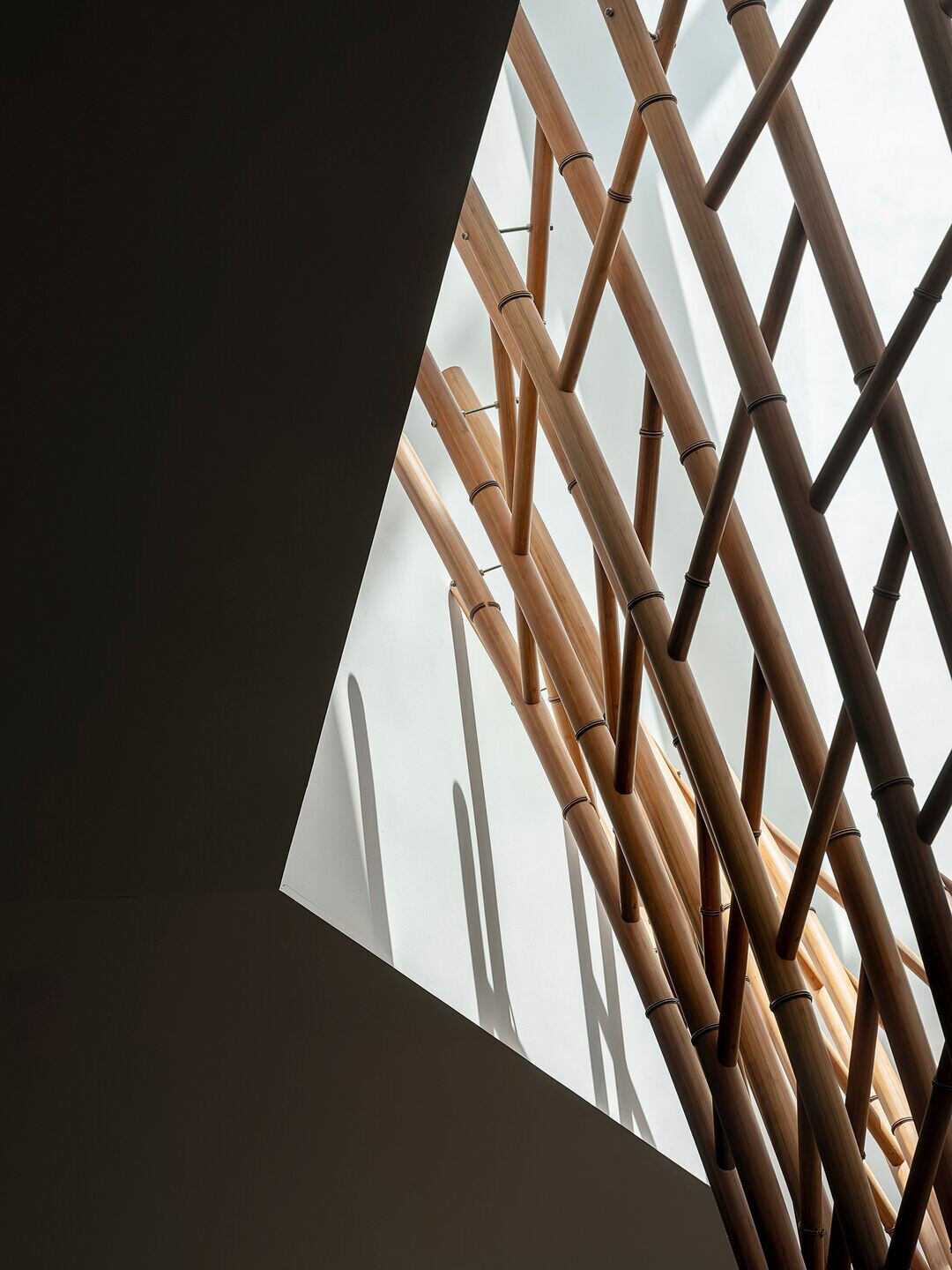 https://archello.com/story/116199/attachments/photos-videos/10 photo_credit TOPIA