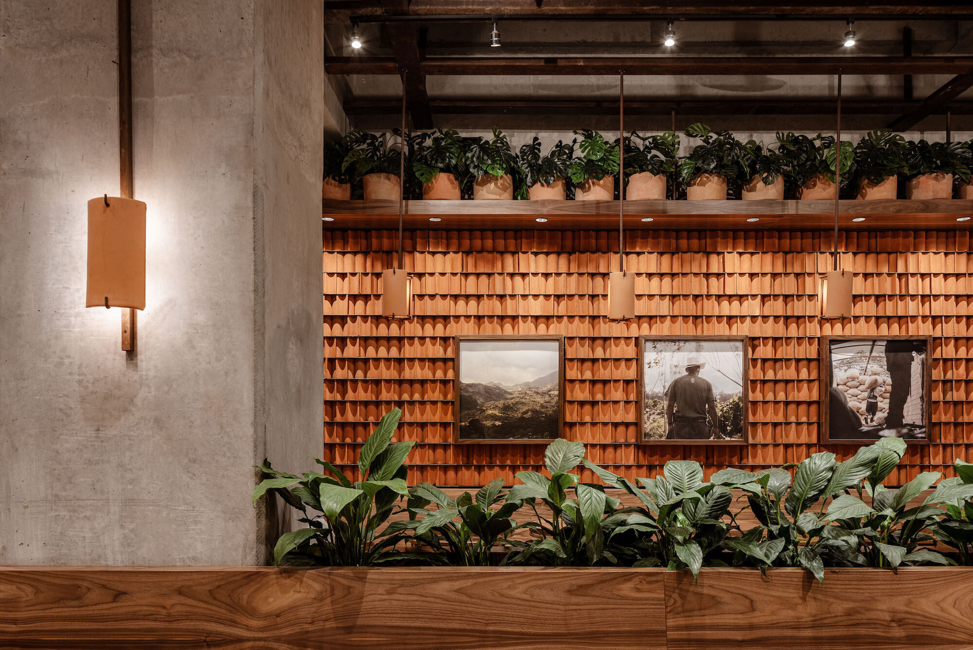 https://archello.com/story/116328/attachments/photos-videos/8 photo_credit Jose Miguel Gonzalez / Apertura Studio