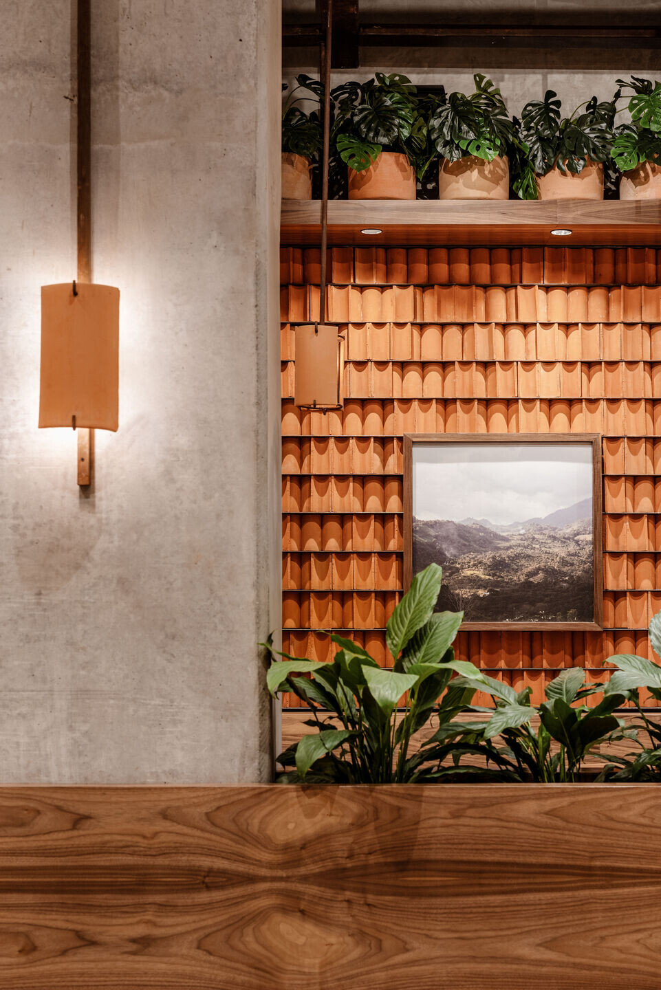 https://archello.com/story/116328/attachments/photos-videos/16 photo_credit Jose Miguel Gonzalez / Apertura Studio