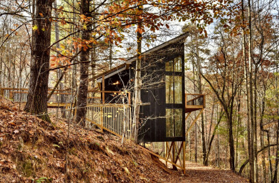 Treeangle cabin