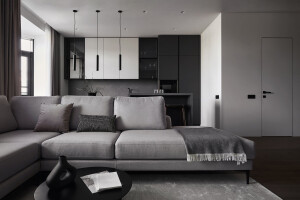Royal Park: Minimalistic interior with contrast