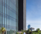 Green Roof Gardens