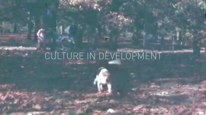 Culture in Development