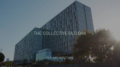 The Collective Old Oak