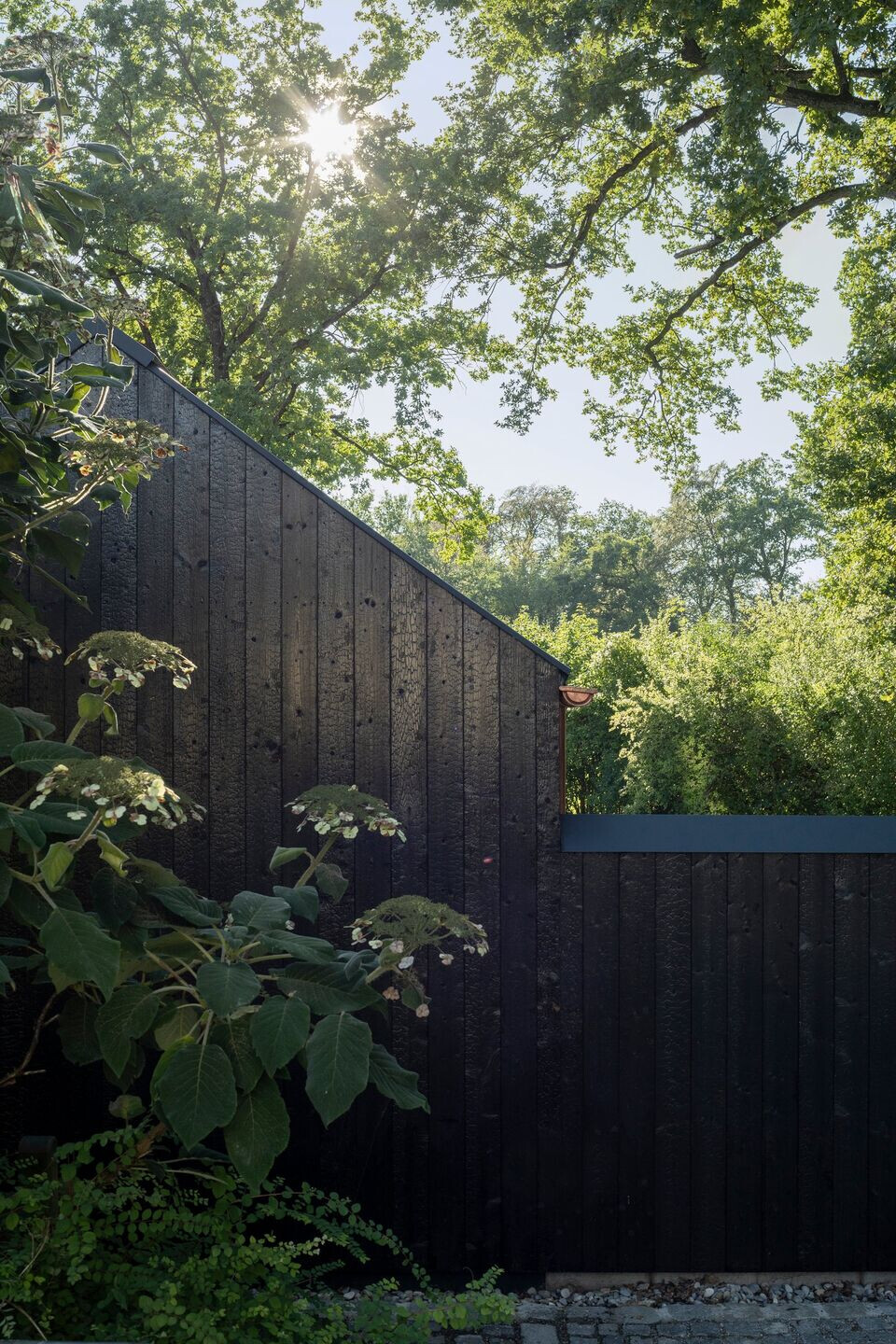 https://archello.com/story/116994/attachments/photos-videos/3 photo_credit Florian Holzherr