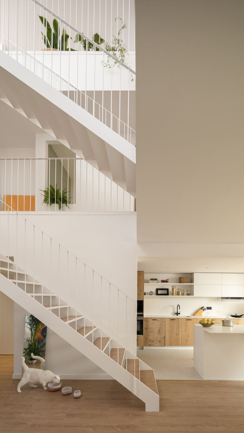 https://archello.com/story/117134/attachments/photos-videos/4 photo_credit Milena Villalba