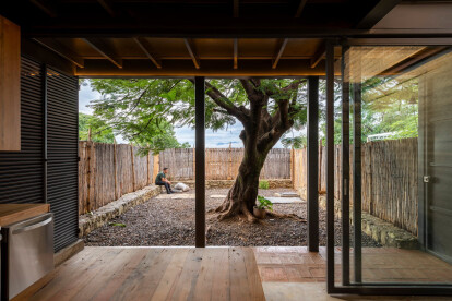 Oaxaca's Plúmula offers a workshop, meeting place, refuge, and home centered around a celebrated Flamboyán tree