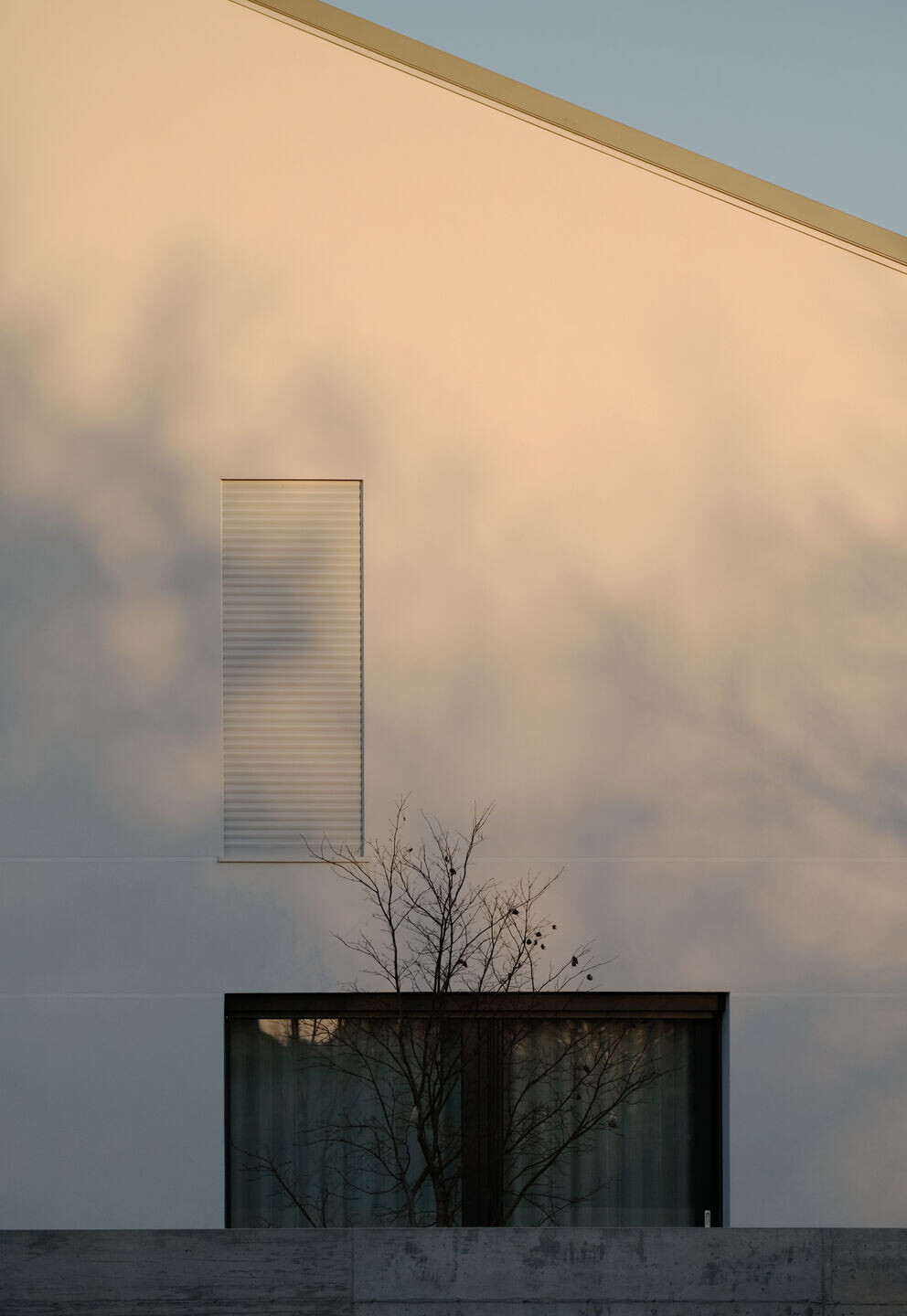https://archello.com/story/117435/attachments/photos-videos/7 photo_credit Rachele Cason