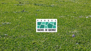 Rachel de Queiroz Park