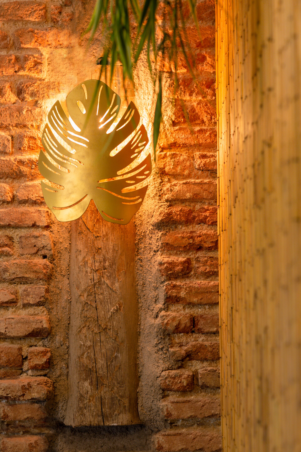 https://archello.com/story/117886/attachments/photos-videos/4 photo_credit Amaia Lago