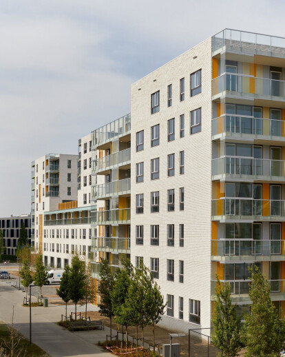 Nieuw Zuid Social Housing