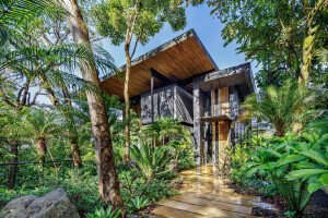Raintree House