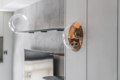 Taipei house by AODADesign fosters a harmonious coexistence between humans and cats