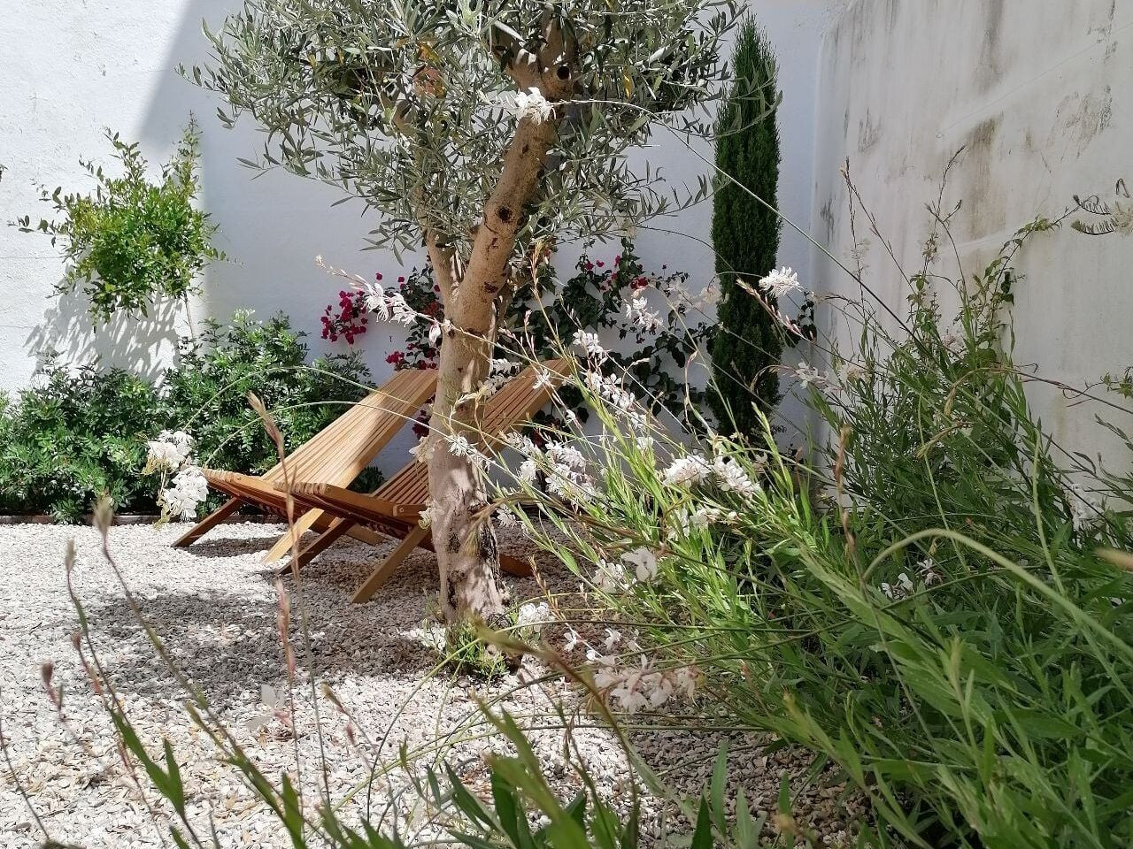 https://archello.com/story/118298/attachments/photos-videos/5 photo_credit Marta Malheiro