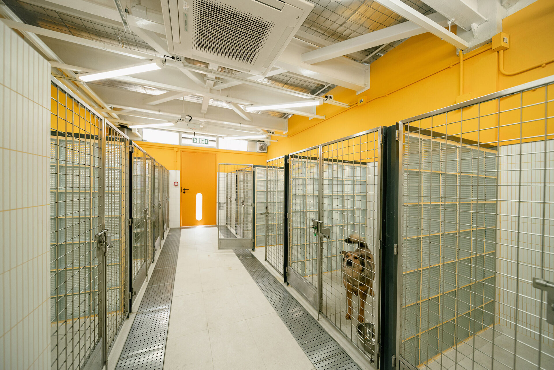 https://archello.com/story/118337/attachments/photos-videos/8 photo_credit Jeremy Cheung