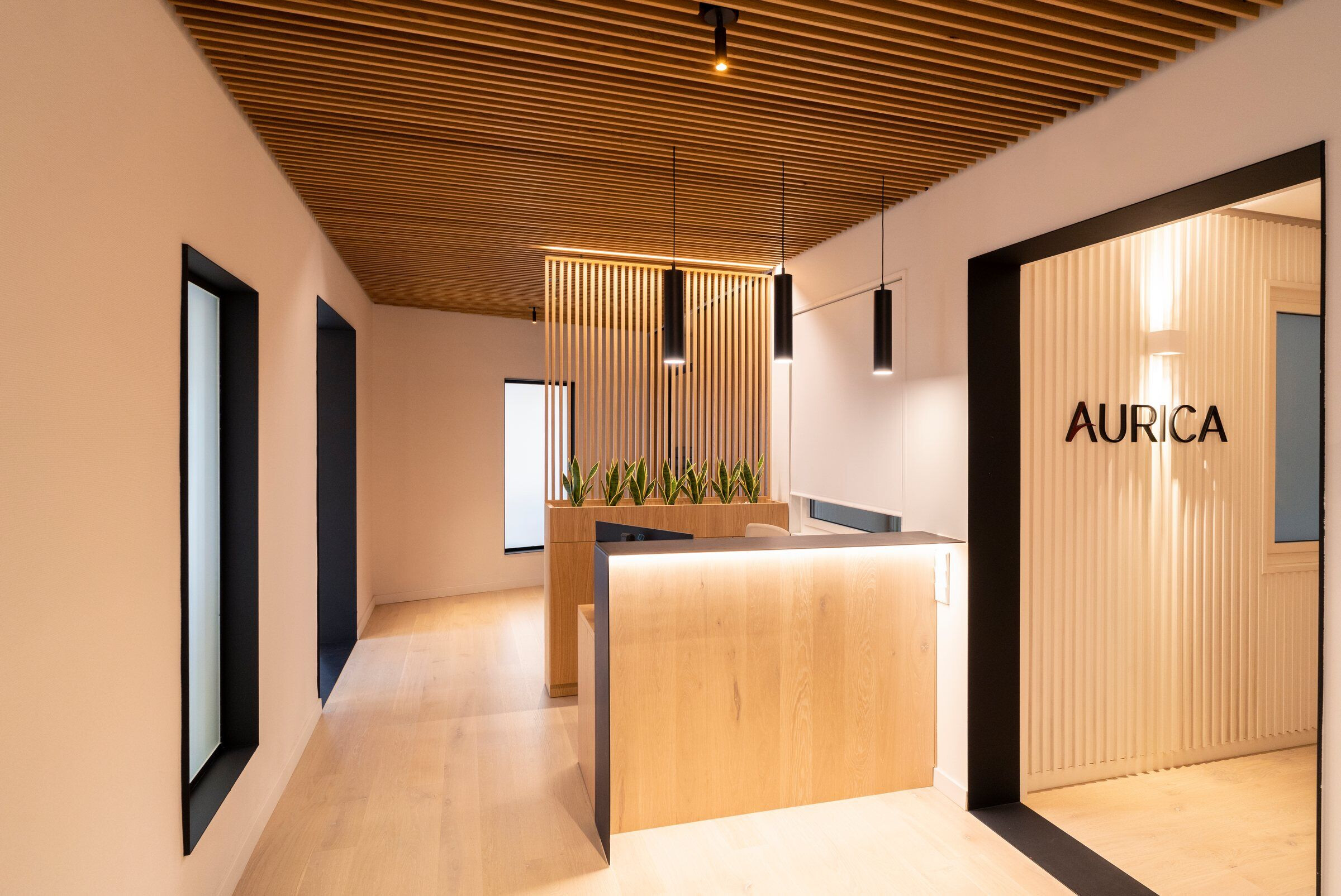 https://archello.com/story/118573/attachments/photos-videos/10 photo_credit Estudi La Japonesa