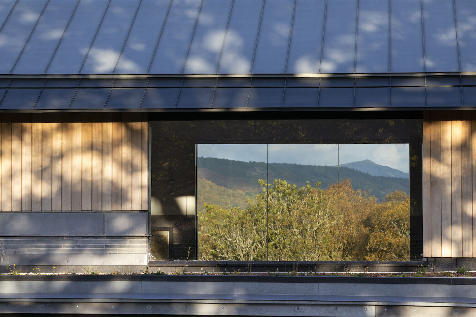 https://archello.com/story/118583/attachments/photos-videos/15 photo_credit Gillian Hayes, Dapple Photography