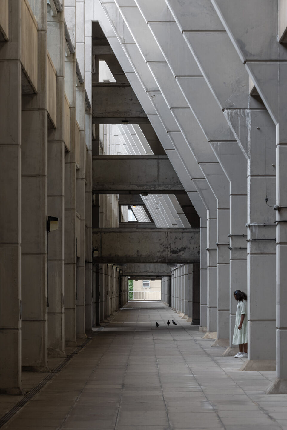 https://archello.com/story/118692/attachments/photos-videos/8 photo_credit Ste Murray