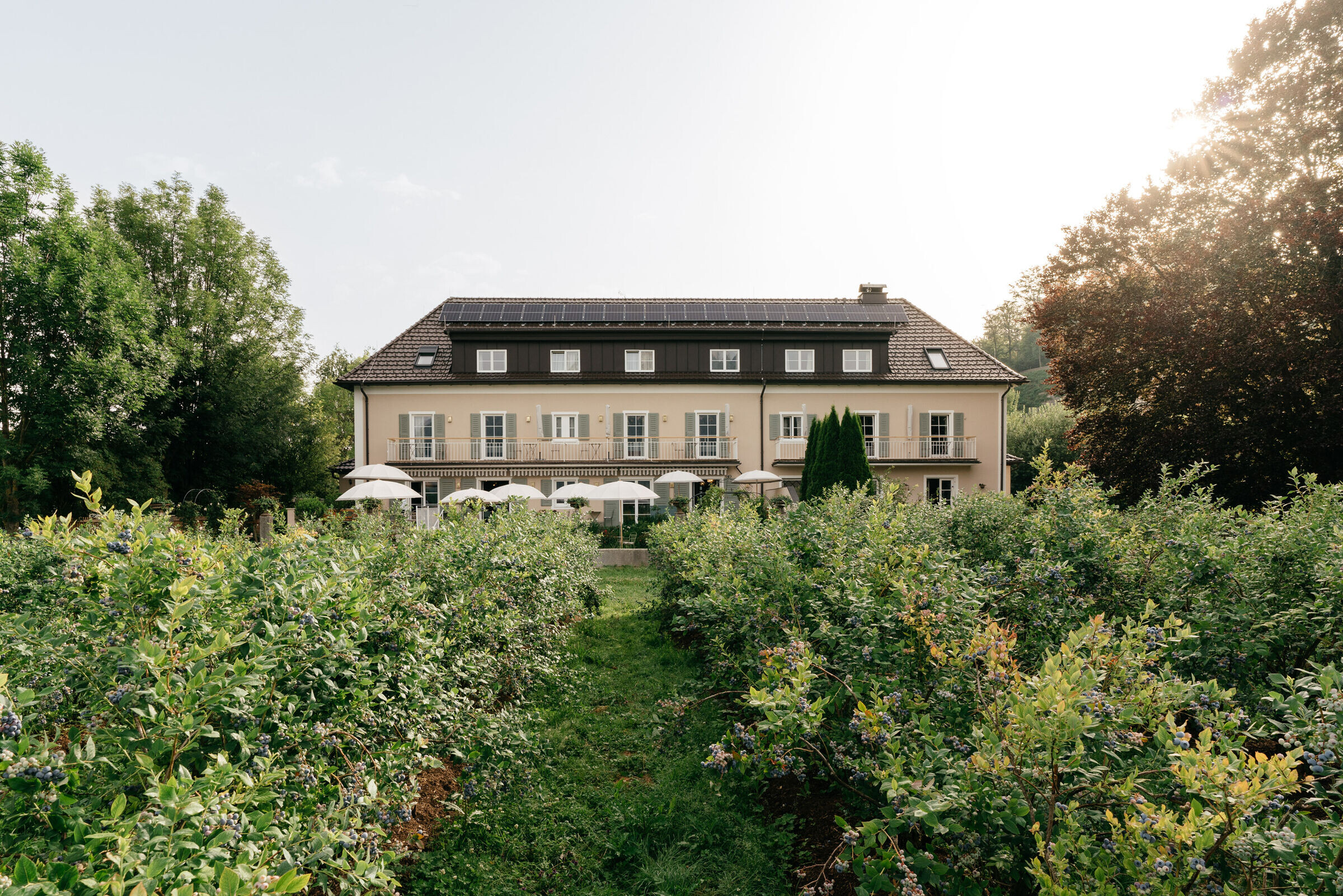https://archello.com/story/118896/attachments/photos-videos/12 photo_credit Gregor Hofbauer