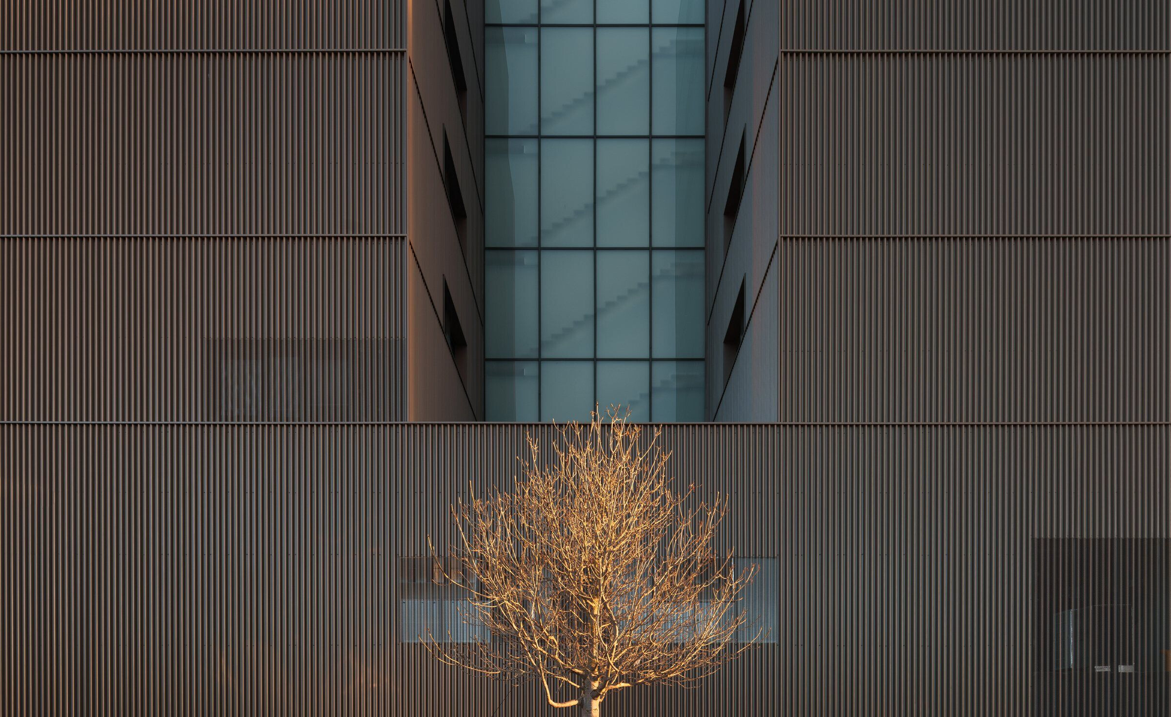 https://archello.com/story/118886/attachments/photos-videos/5 photo_credit Rubén Perez Bescos