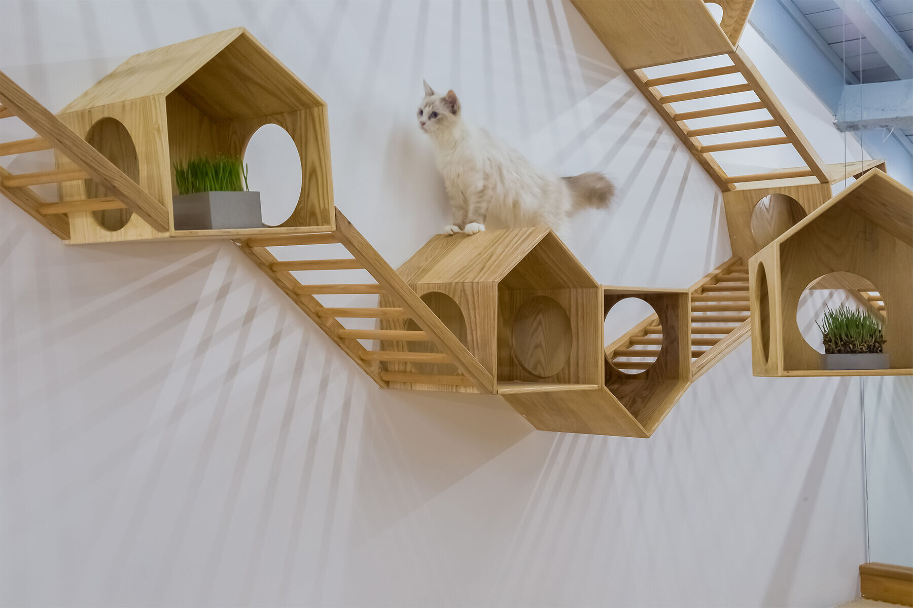 https://archello.com/story/119252/attachments/photos-videos/7