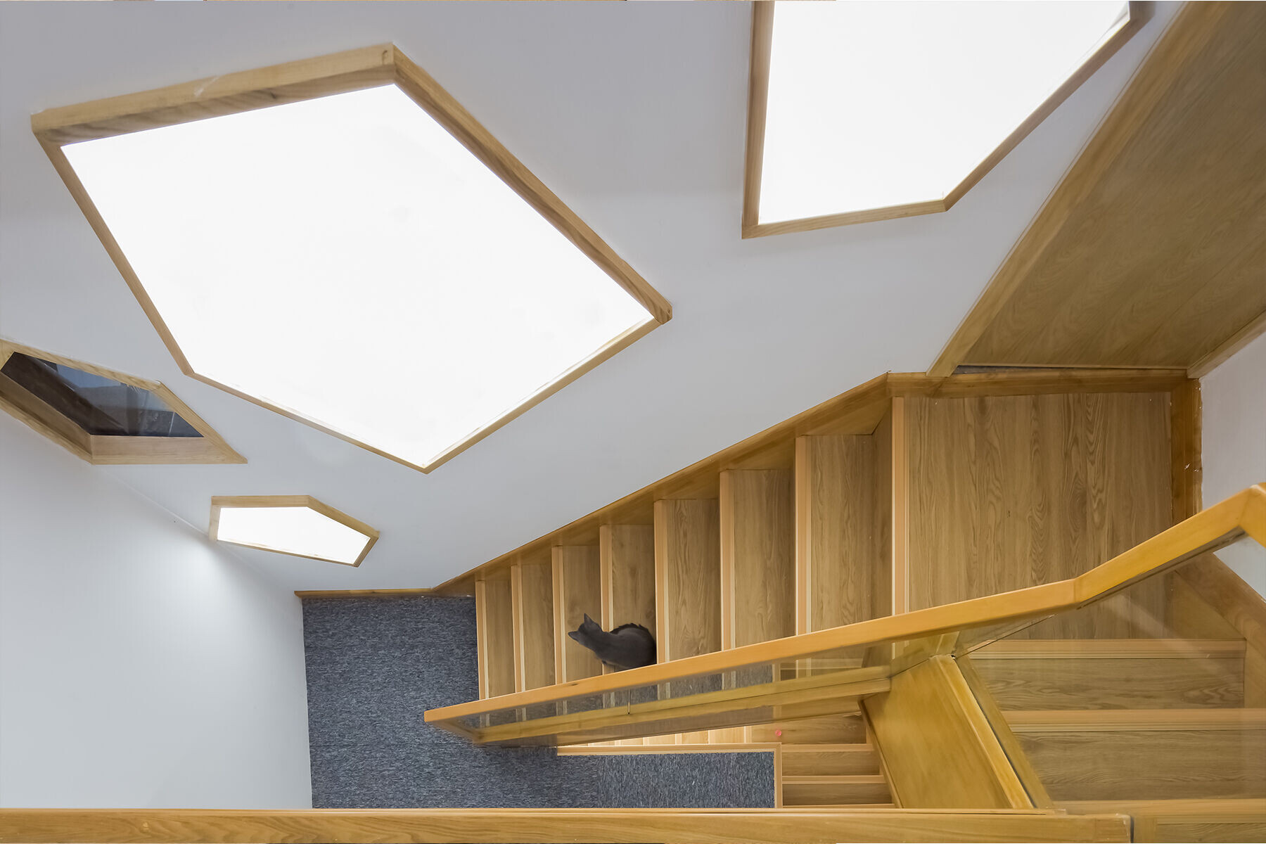https://archello.com/story/119252/attachments/photos-videos/10