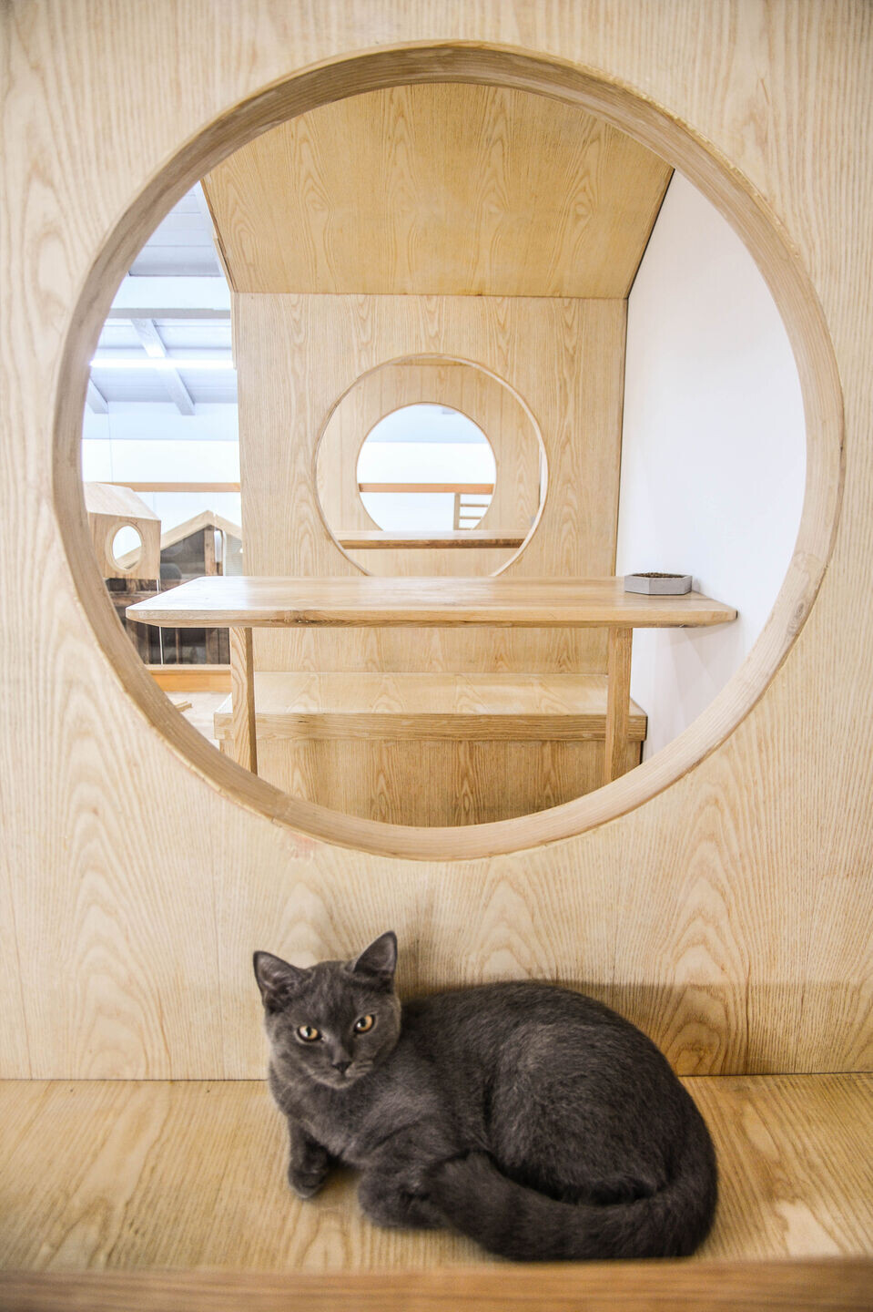 https://archello.com/story/119252/attachments/photos-videos/14