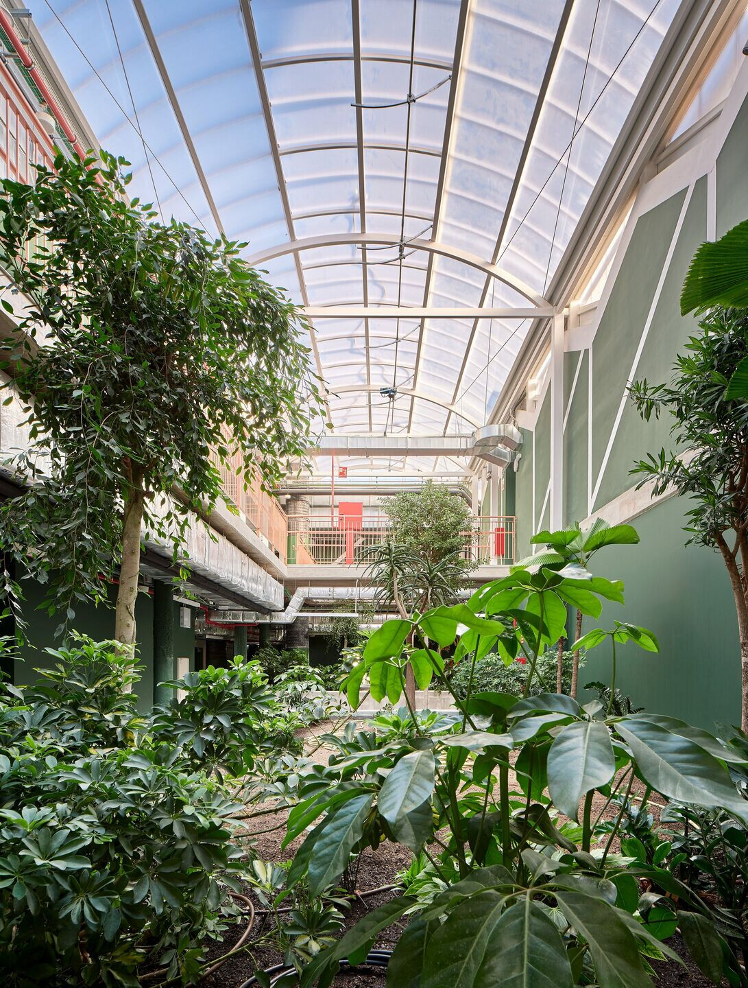 https://archello.com/story/119327/attachments/photos-videos/13 photo_credit José Hevia