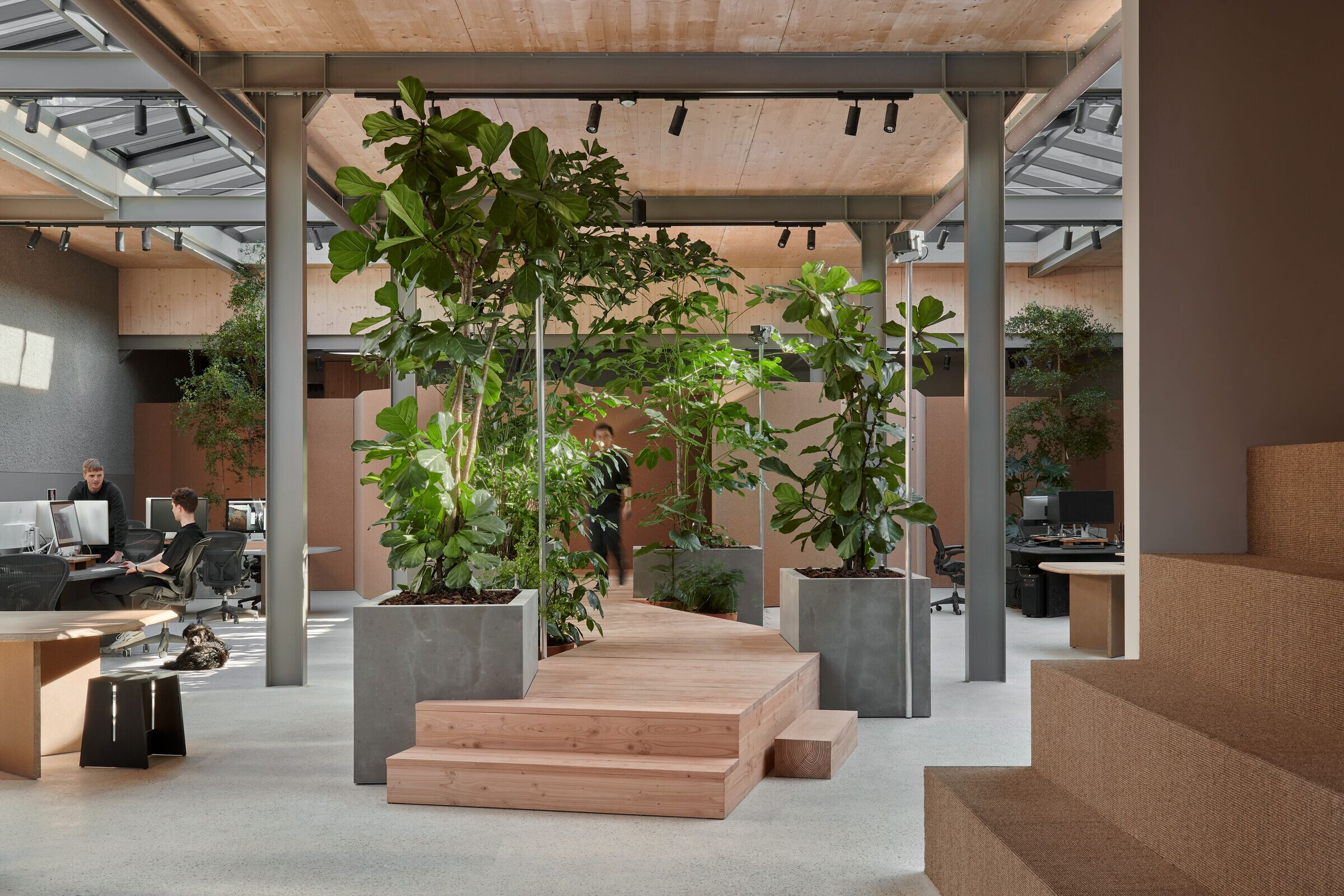 https://archello.com/story/119825/attachments/photos-videos/9 photo_credit Kasia Gatkowska