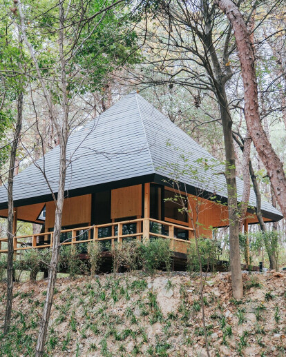 [Wild Home #96#] – The Pyramid Cabin