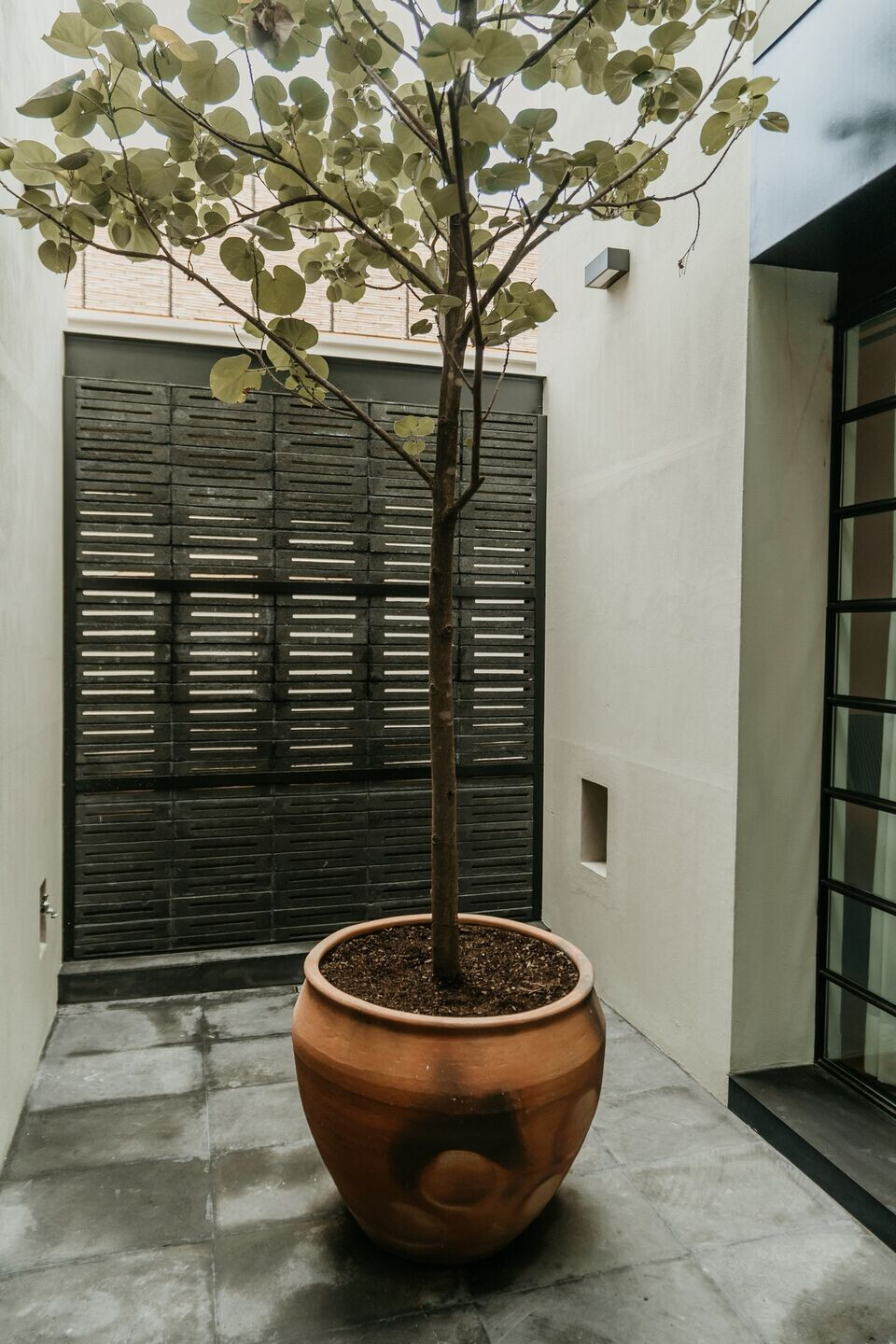 https://archello.com/story/120067/attachments/photos-videos/10 photo_credit Chucho P