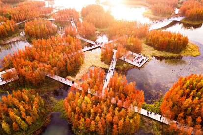 Turenscape revitalises a disused waterscape into a floating forest park in China