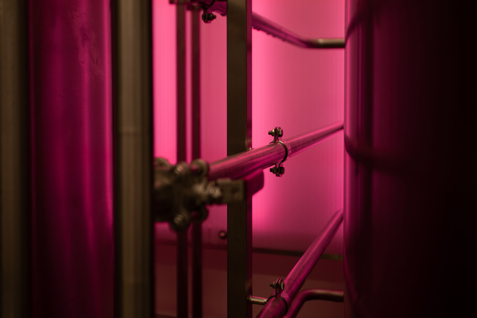 https://archello.com/story/120276/attachments/photos-videos/21 photo_credit Hedda Rysstad