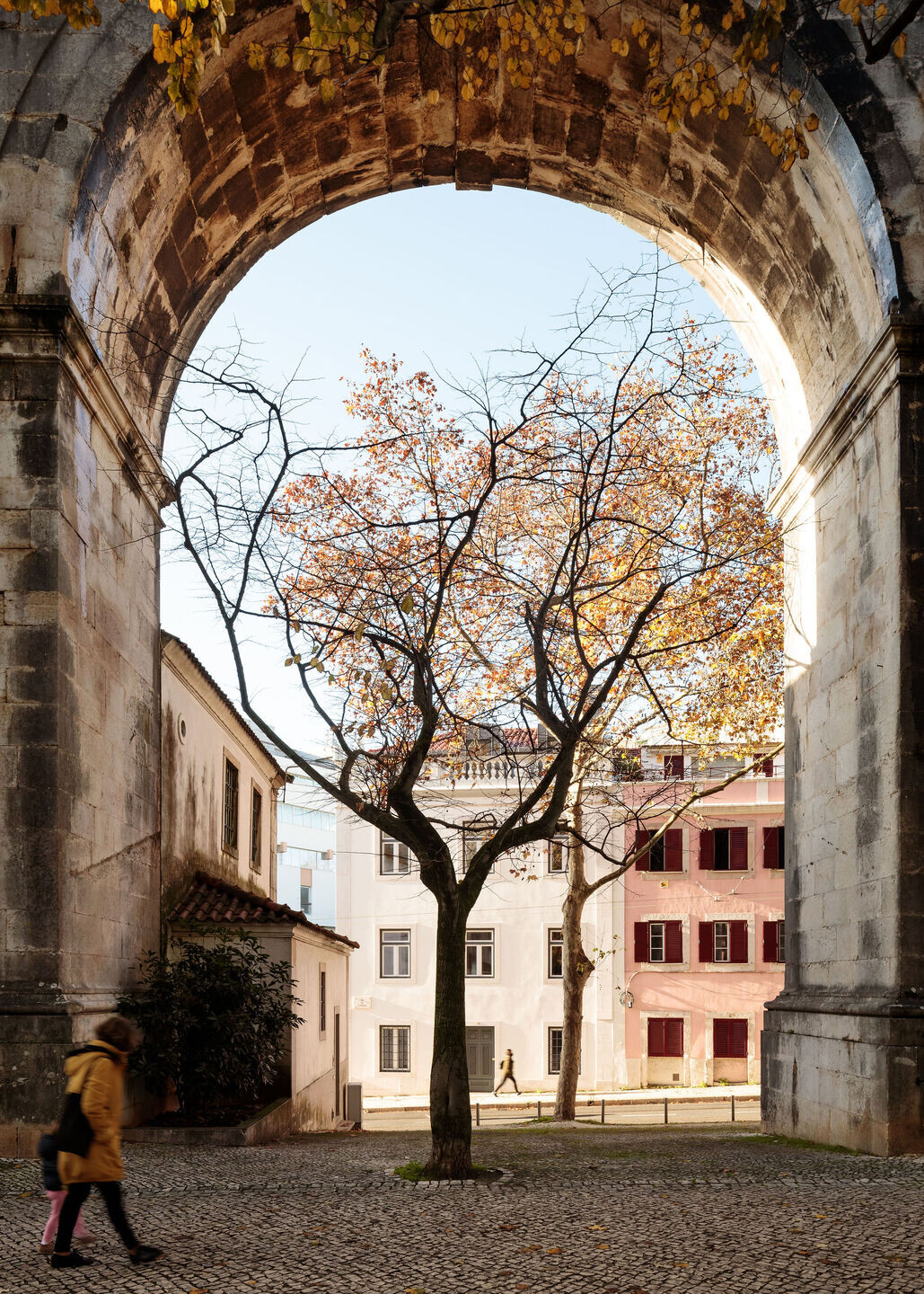 https://archello.com/story/120356/attachments/photos-videos/4 photo_credit Francisco Nogueira